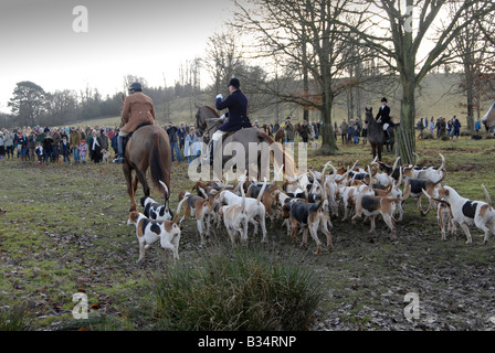 Foxhounds folgen Jäger am Boxing Day Jagd, Petworth, Surrey, England Stockfoto