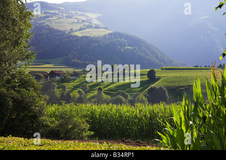 Am frühen Morgen mit Nebel in den Südtirol, Italien. Stockfoto