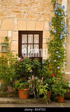 Topfpflanzen und Blumen umgeben eine Tür eines Hauses in St. Leon Sur Vézère, Dordogne, Frankreich, EU. Stockfoto