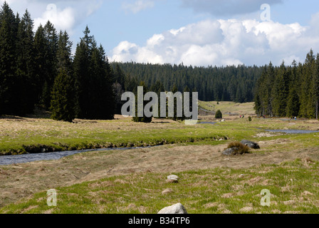 Modrava Roklansky Potok Nationalpark Sumava Tschechien Stockfoto