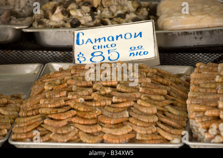 Ensenada Fischmarkt am Kai des Hafens Stockfoto