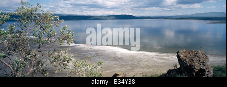 Kenia, Nakuru, Lake Nakuru. Lake Nakuru ist ein flacher alkalischen See liegt auf dem Boden des östlichen Rift. Zu keinem Zeitpunkt dieses Jahrhunderts hat die Tiefe See zwölf Fuß überschritten. Eburru Berg - ein schlafender Vulkan - erhebt sich im Hintergrund. Der See ist eine international anerkannte Ramsar-Gebiet wegen seiner reichen Vogelwelt. Eine Viertel weniger Flamingo Bevölkerung der Welt kann seinen Mineral-gefärbten Ufern zu umarmen, wenn die Bedingungen stimmen für das Wachstum der blau - grüne Algen (Spirulina Platensis) auf denen die Vögel füttern gesehen werden. Stockfoto