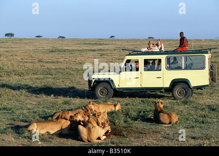 Kenia, Masai Mara. Besucher schauen einem Rudel Löwen Fütterung auf einen Kill. Stockfoto