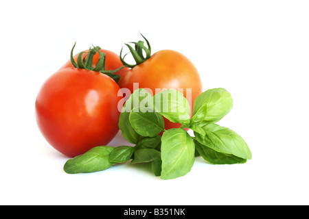 Rote, reife Tomaten und Basilikum Stockfoto
