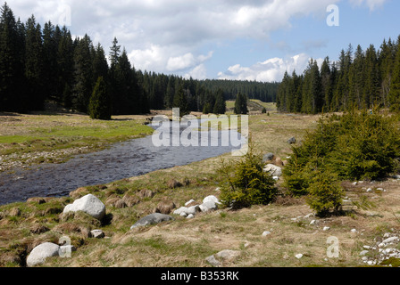 Modrava Roklansky Potok Nationalpark Sumava Tschechien Stockfoto