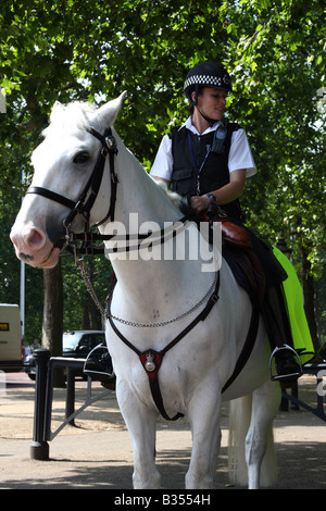 Metropolitan montiert Police Officer, London, England, U.K Stockfoto