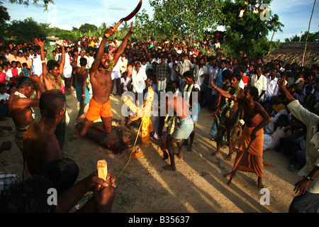 Ein Mann, der gerade einen Ochsen als Teil eines rituellen Opfer zu Gott Murugan enthauptet hat, springt vor Freude während eines Festivals. Stockfoto