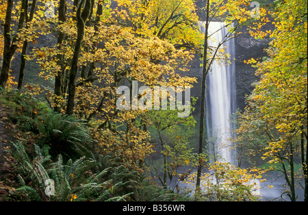 Süden fällt im Herbst Silver Falls State Park-Oregon Stockfoto