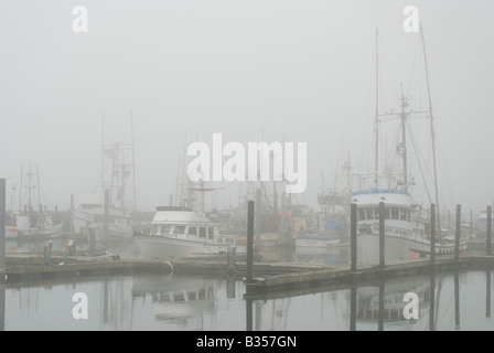 Die Marina in La Push, Washington in Nebel gehüllt. Stockfoto