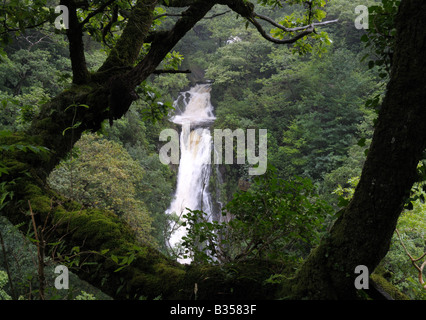 Teufels-Brücke-Wasserfall bei Pontarfynach Stockfoto