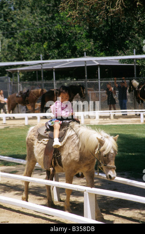 Ponyreiten im Griffith Park in Los Angeles Stockfoto