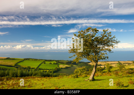 Porlock gemeinsame und Landschaft im Sommer Exmoor Nationalpark Somerset England Stockfoto