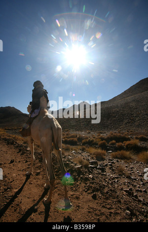 Tuareg in Dromedar Assekrem Berge Hoggar Algerien Stockfoto