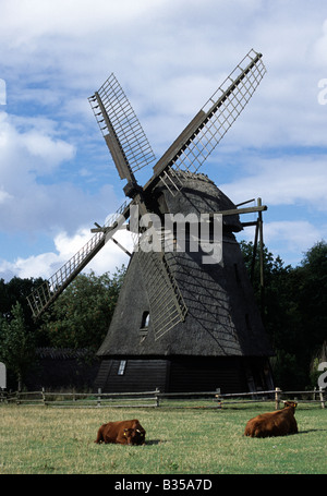 Dänemark Odense Den Fynske Landsby The Fünen Dorf Windmühle Stockfoto