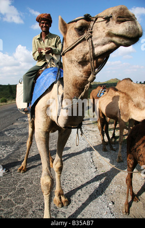 Ein Kamel Zug verläuft südlich von Hampi, Indien. Kamele sind immer noch benutzt, um waren in einigen ariden Gebieten Indiens transportieren. Stockfoto