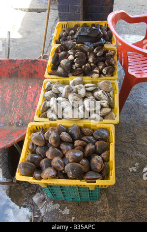 Ensenada Fischmarkt am Kai des Hafens Stockfoto