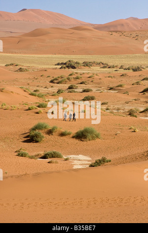 Besucher wandern unter den Dünen im Sossusvlei Namibia Afrika Stockfoto