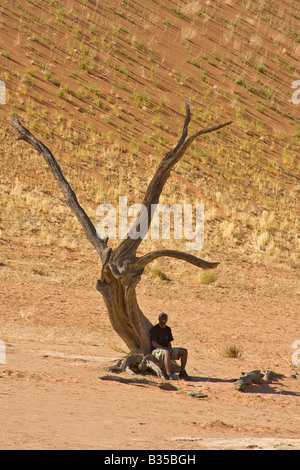 Mann sitzt unter Skelettreste von Camel Thorn Akazie auf dem Kalkstein und Sanddünen des Dead Vlei in Namibia Afrika Stockfoto