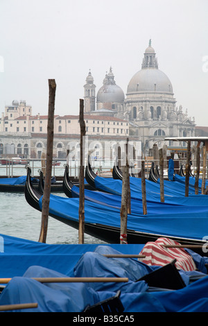 Festgemachten Gondeln am Morgen, Venedig, Italien Stockfoto