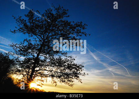 South Norwood Park - Norwood See farbenfrohen Sonnenuntergang mit intensiv blauen Himmel Stockfoto