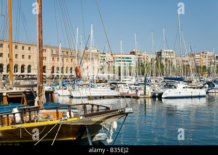 Spanien Barcelona Segelboote angedockt im Marina Port Vell Hochhäuser und Residenz Gebäude im Hintergrund von Hafengebiet Stockfoto