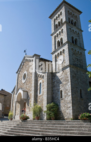 Castellina in Chianti, Toskana, Italien, Europa, Wein, Chianti, Weinberge, Urlaub, Tourismus, Italien zentrale Olivenbäumen, Stockfoto