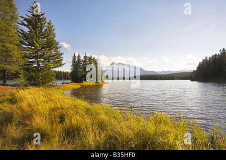 Insel an der Küste des Sees und gelb Gräser im nördlichen Teil von Kanada Stockfoto