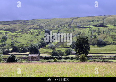 Feld-Scheunen im oberen Swaledale Stockfoto