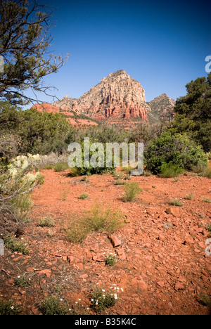 Von den Soldaten Pass Trail betrachtet hoch aufragenden roten Sandsteinfelsen. Stockfoto