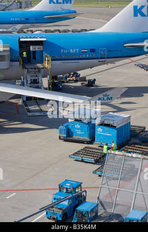 Auf dem Amsterdamer Flughafen Schiphol wird das Bodenpersonal Pferd Transportbehälter in einen KLM Boeing 747 - 400 M Combi geladen. Stockfoto