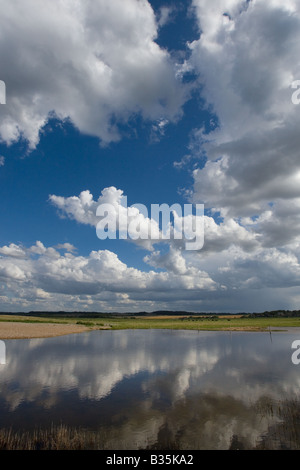 Cley Nature Reserve North Norfolk August Stockfoto