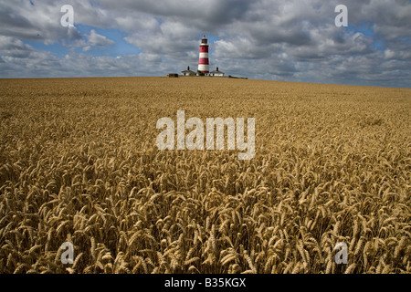 Ackerland und Licht Haus Happisburgh Norfolk UK Stockfoto