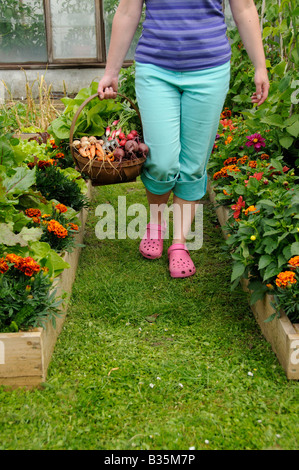 Lady Gärtner gehen und halten Trug voller frisch geernteten Haus gewachsen Bio Sommergemüse Stockfoto