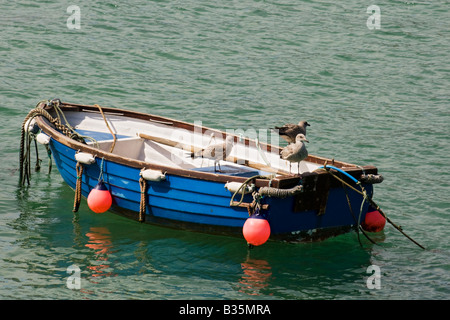 Möwen sitzen auf blauen Fischerboot vor Anker im Hafen von St. Ives in Cornwall, England. Stockfoto
