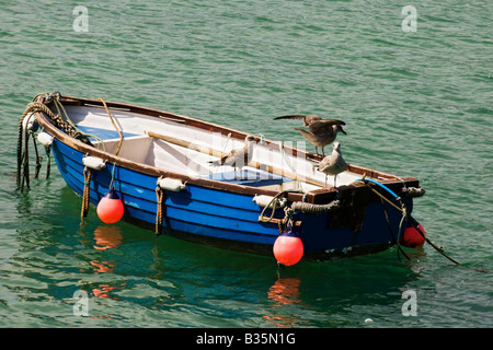 Möwen sitzen auf blauen Fischerboot vor Anker im Hafen von St. Ives in Cornwall, England. Stockfoto