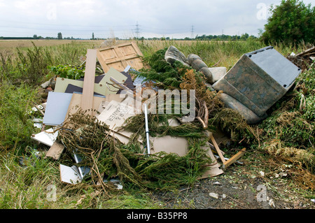 illegale Fliege kippen, Norfolk, england Stockfoto