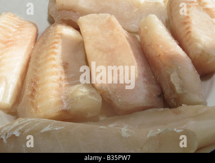 gesunde Ernährung Pollack Filet Auftauen bereit zum Kochen Stockfoto