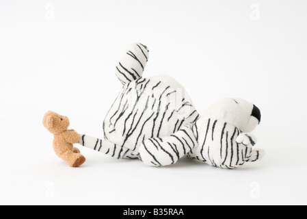 Kleiner Teddy Bär ziehen große gefüllte Endstück des Tigers Stockfoto