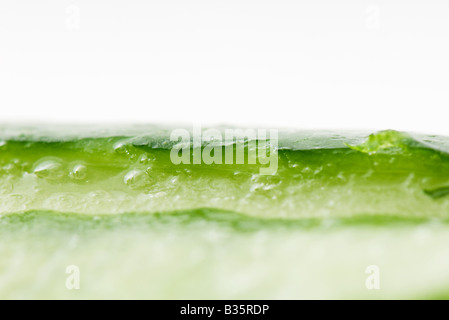 Aloe Vera, extreme Nahaufnahme Stockfoto