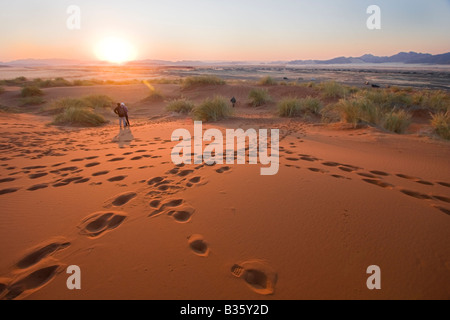 Besucher zu Fuß, in der Morgendämmerung zwischen Sanddünen des Sossusvlei Düne Gegend im Süden von zentral-Namibia Stockfoto