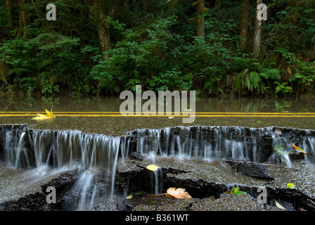 Auswaschen der North Fork Skykomish River Road im Bundesstaat Washington Mount Baker-Snoqualmie National Forest. Stockfoto