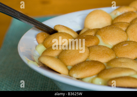 Eine Nahaufnahme aus einer Schüssel Banana Pudding mit vanilla Wafers. USA. Stockfoto