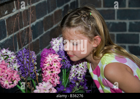 Eine junge kaukasische Mädchen, Alter 5 Jahre, beugt sich zu riechen lila und rosa Hyazinthe blüht. USA. Stockfoto