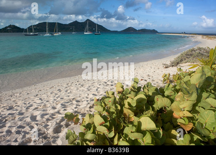 Cruising Segelboote verankert neben Sandy Insel Carriacou Grenada. Sandy Island ist einem sandigen Streifen nur Meter breit und 1km Länge Stockfoto