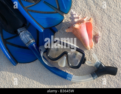 Schnorchelausrüstung und Muscheln an einem karibischen Strand. Stockfoto