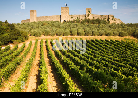 Monteriggioni, Val d ' Elsa, Toskana, Italien Stockfoto