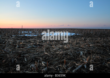 FEBRUAR-SONNENUNTERGANG ÜBER MAISFELD IN ZENTRAL-ILLINOIS USA Stockfoto