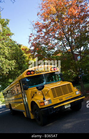 Schulbus fahren auf der Straße. Stockfoto