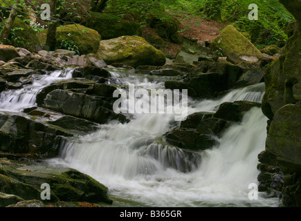 Teil der Fälle von Moness in Birks Aberfeldy, eine atemberaubende, von Bäumen gesäumten Schlucht in Perthshire Highlands von Schottland. Stockfoto