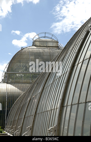 England, London, äußere des Palmenhauses in Kew Gardens, Nahaufnahme Stockfoto